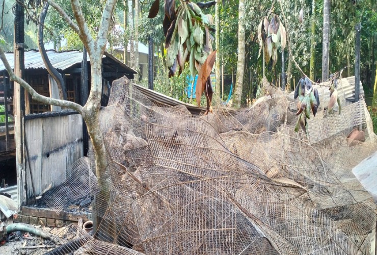 আগুনে পুড়ে চার হাজার পাখির করুন মৃত্যু